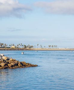 Take Me Out To The Sea Mission Bay