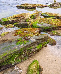 Rock Art In La Jolla 1