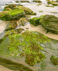 Rock Art In La Jolla 2