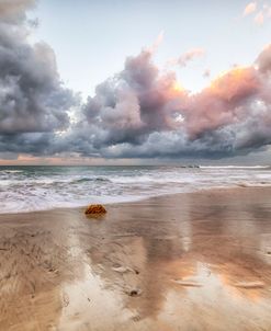 Majestic Reflections Ponto Beach