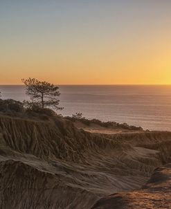 A Torrey Pines Coastal Sunset