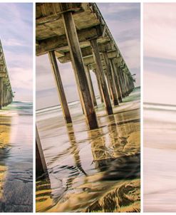 Summer At Scripps Triptych