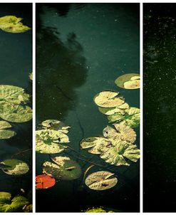 One In Red Triptych