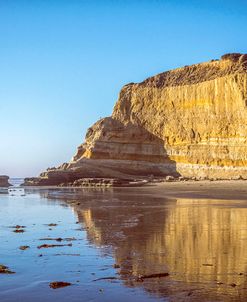 Sandstone Wall At Torrey Pines