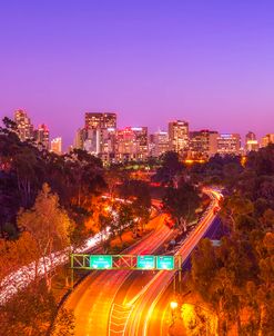Highway To A Skyline