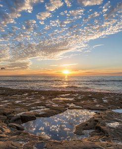 Tide Pool Sunset Reflections