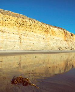 The Golden Bluffs At Torrey Pines 2