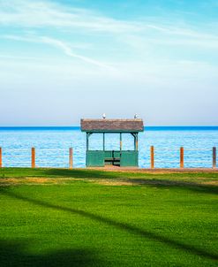 Green Grass Green Hut