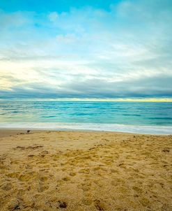 Gold and Blue At Marine St Beach