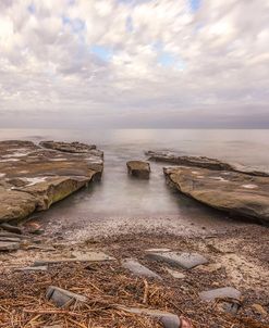 Driftwood & Stone
