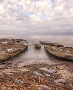 Driftwood & Stone