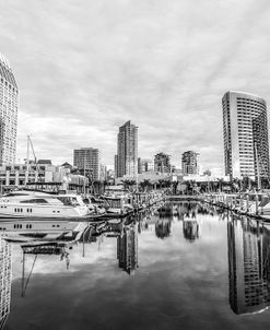 Embarcadero Marina Like Glass