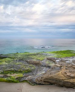 Rock & Sea Of Green