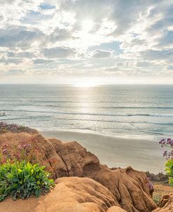 Torrey Pines State Beach Beauty