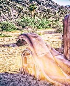 Vintage Vibes At Joshua Tree