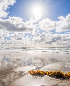 A Bright Winter Afternoon