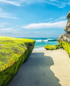The Green Rocks Of Windansea Beach 1