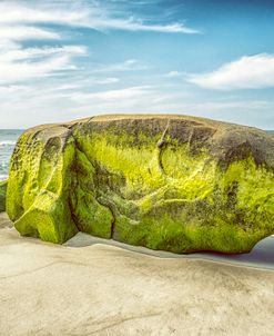 The Green Rocks Of Windansea Beach 2