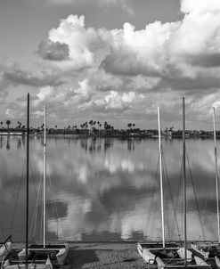 A Winter Monochrome At Mission Bay
