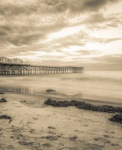 Seaside At Crystal Pier In Duotone