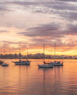 Magical Morning Hues In San Diego