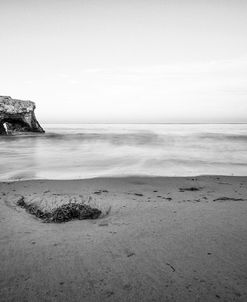 A Monochrome At Natural Bridges