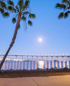 Beautiful Coronado Night