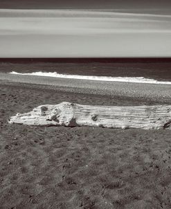 Solitude On Black Sands Beach