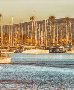 Oceanside Harbor