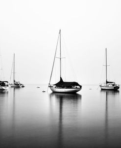 Calmness, San Diego Harbor