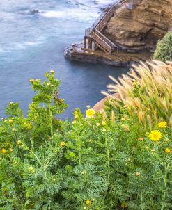 Growing Up Above The Sea