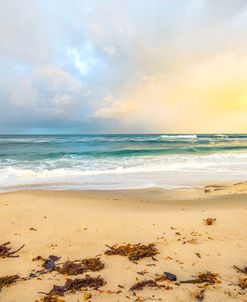 Rainbow In La Jolla