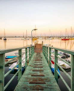 Down To The Harbor, San Diego