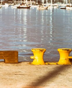 Mooring Posts In Yellow