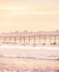 November Morning Surf Session