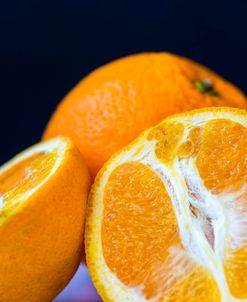 Orange Zest Still Life