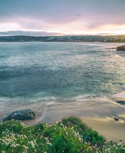 A La Jolla Cove Winter Sunrise