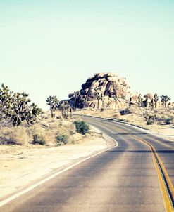 Road Trip Joshua Tree National Park