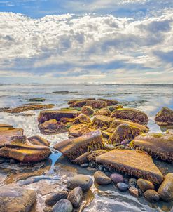 Jumble Of Rocks San Diego Coast