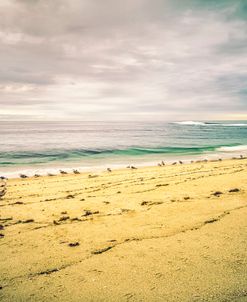 Wipeout Beach Silence La Jolla Coast