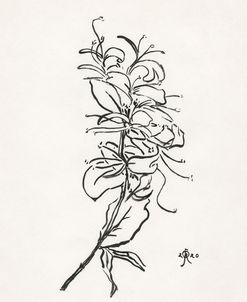 Floral Ink Study VI