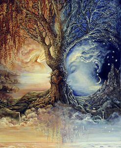 Tree Of Night & Day – Look Again