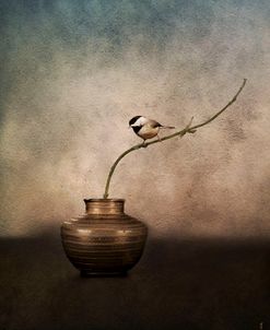 Black Capped Chickadee On A Vase
