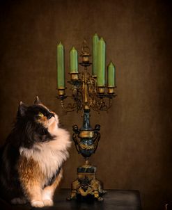 Cat And The Candelabra