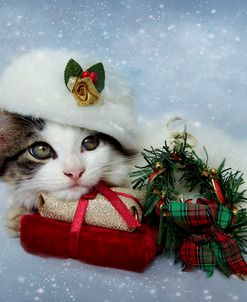 Christmas Kitten In The Snow