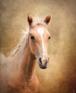 Golden Girl Palomino Horse