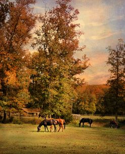 Grazing In Autumn