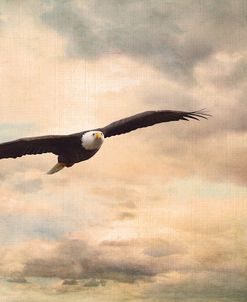 High Flyer Bald Eagle