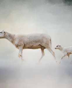 In My Mother’s Footsteps Sheep and Lamb