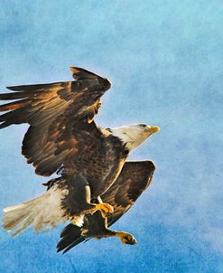 Landing Gear Bald Eagle